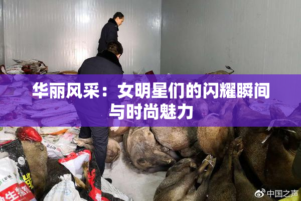 华丽风采：女明星们的闪耀瞬间与时尚魅力