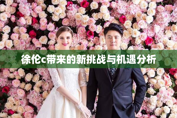 徐伦c带来的新挑战与机遇分析