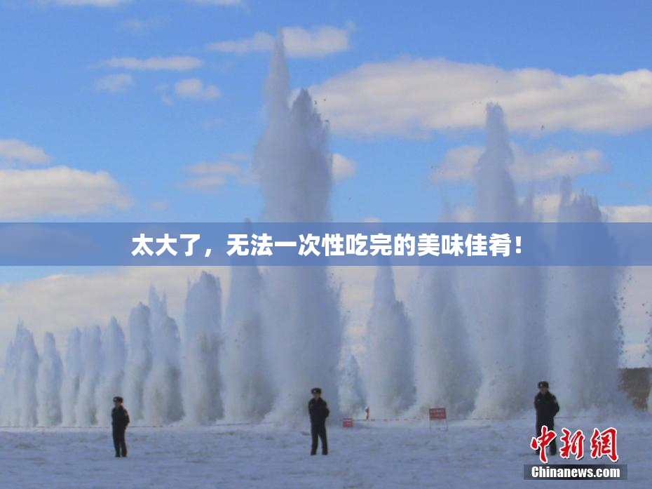 太大了，无法一次性吃完的美味佳肴！
