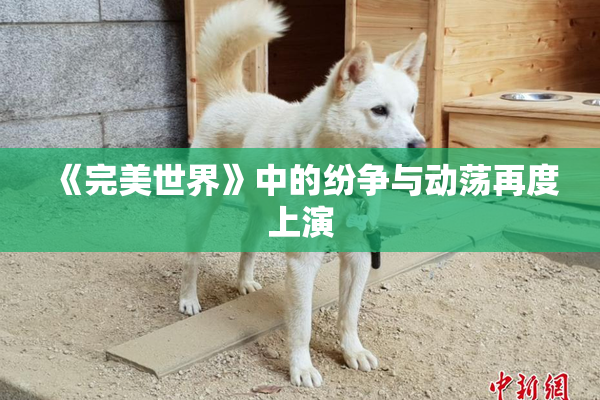 《完美世界》中的纷争与动荡再度上演