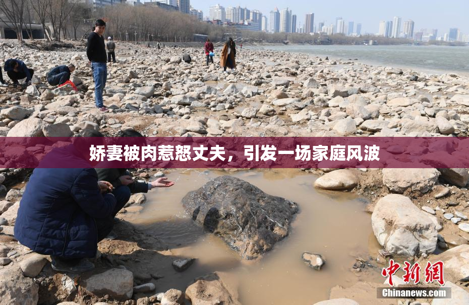 娇妻被肉惹怒丈夫，引发一场家庭风波