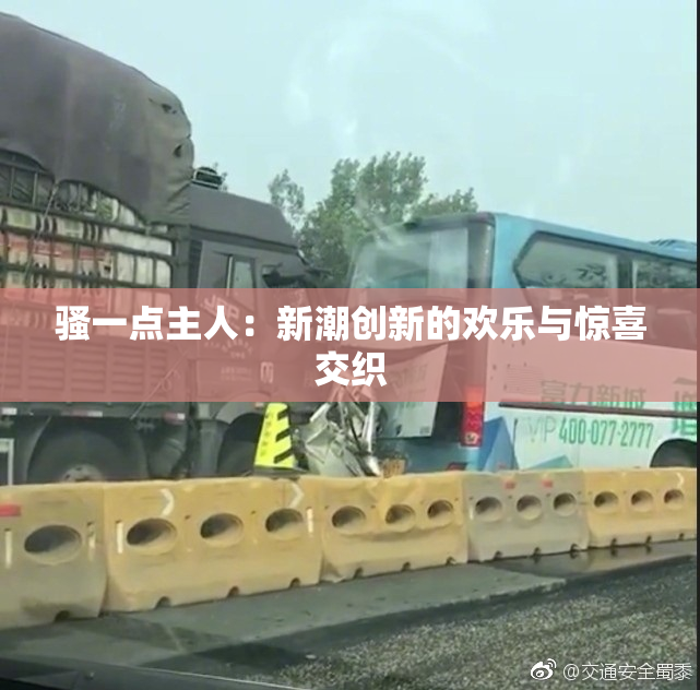 骚一点主人：新潮创新的欢乐与惊喜交织