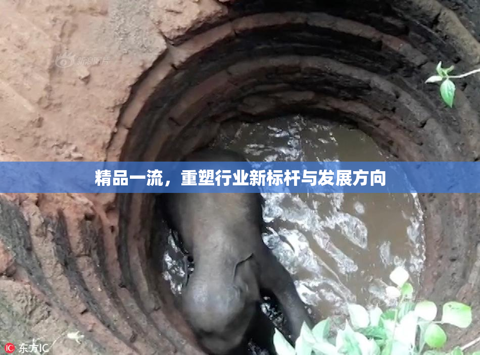 精品一流，重塑行业新标杆与发展方向
