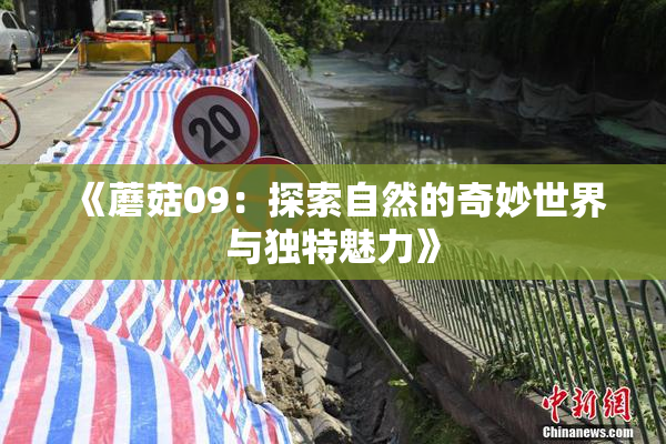 《蘑菇09：探索自然的奇妙世界与独特魅力》