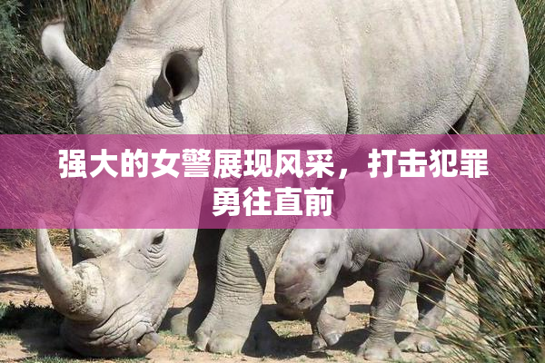 强大的女警展现风采，打击犯罪勇往直前
