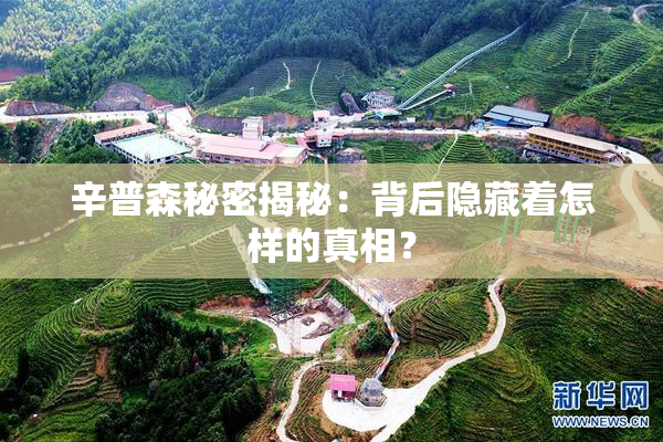 辛普森秘密揭秘：背后隐藏着怎样的真相？