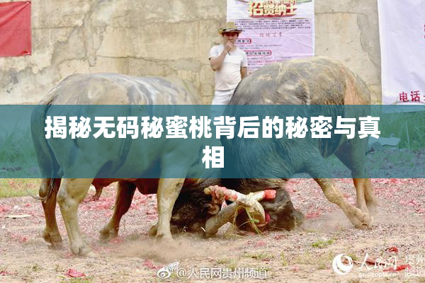 揭秘无码秘蜜桃背后的秘密与真相