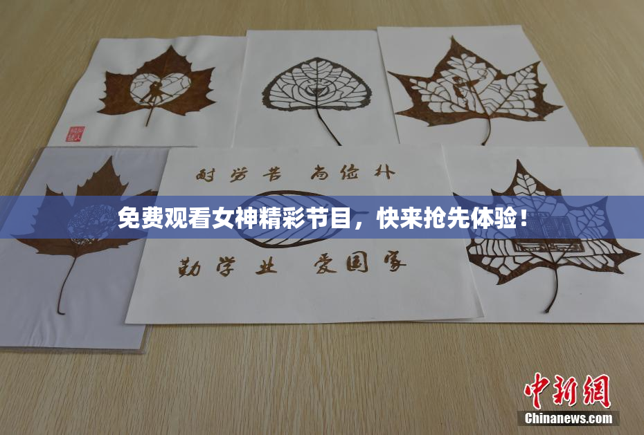 免费观看女神精彩节目，快来抢先体验！