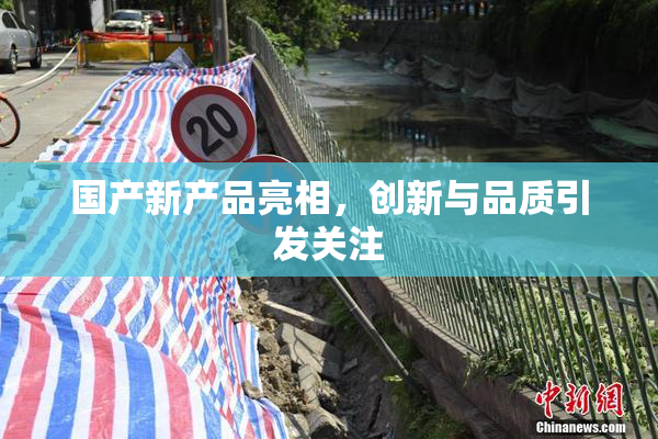 国产新产品亮相，创新与品质引发关注