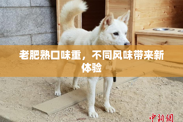 老肥熟口味重，不同风味带来新体验