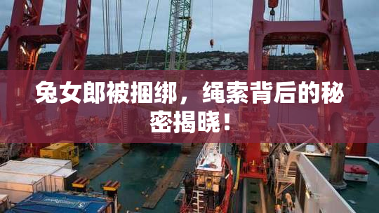 兔女郎被捆绑，绳索背后的秘密揭晓！