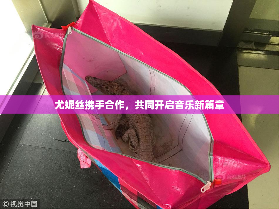 尤妮丝携手合作，共同开启音乐新篇章