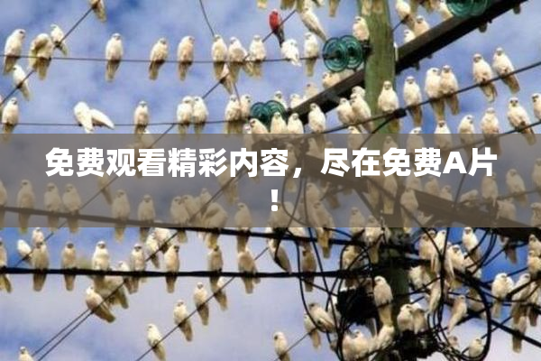 免费观看精彩内容，尽在免费A片！