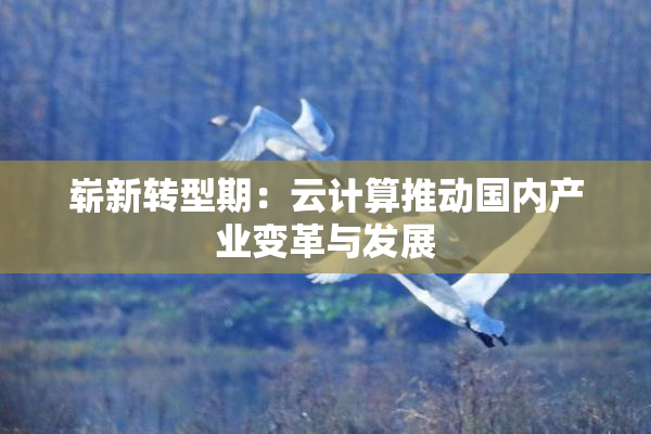 崭新转型期：云计算推动国内产业变革与发展