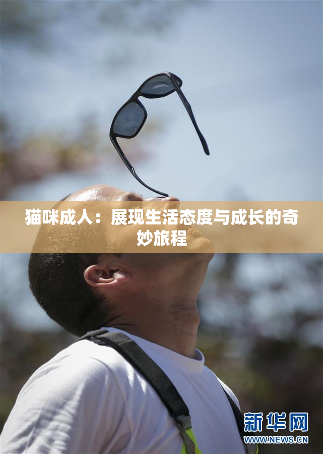 猫咪成人：展现生活态度与成长的奇妙旅程