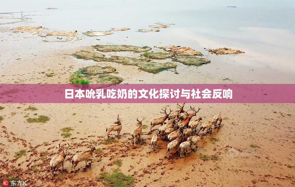 日本吮乳吃奶的文化探讨与社会反响