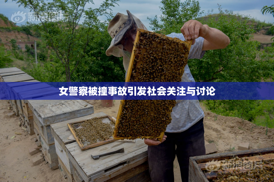 女警察被撞事故引发社会关注与讨论