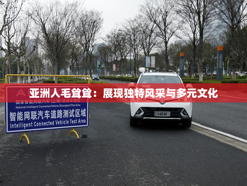 亚洲人毛耸耸：展现独特风采与多元文化