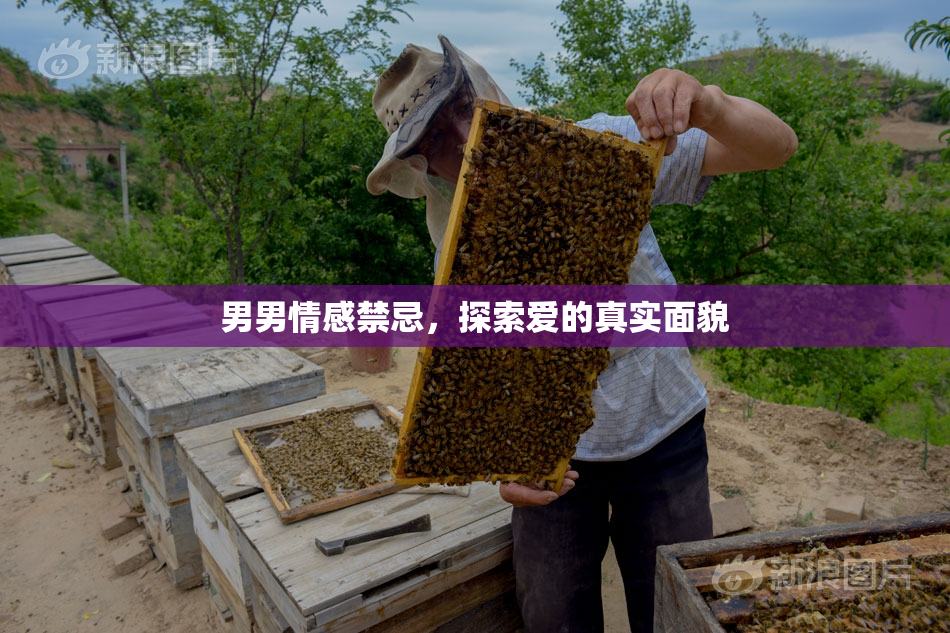 男男情感禁忌，探索爱的真实面貌