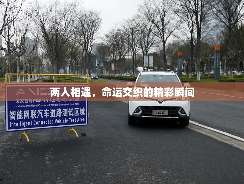 两人相遇，命运交织的精彩瞬间