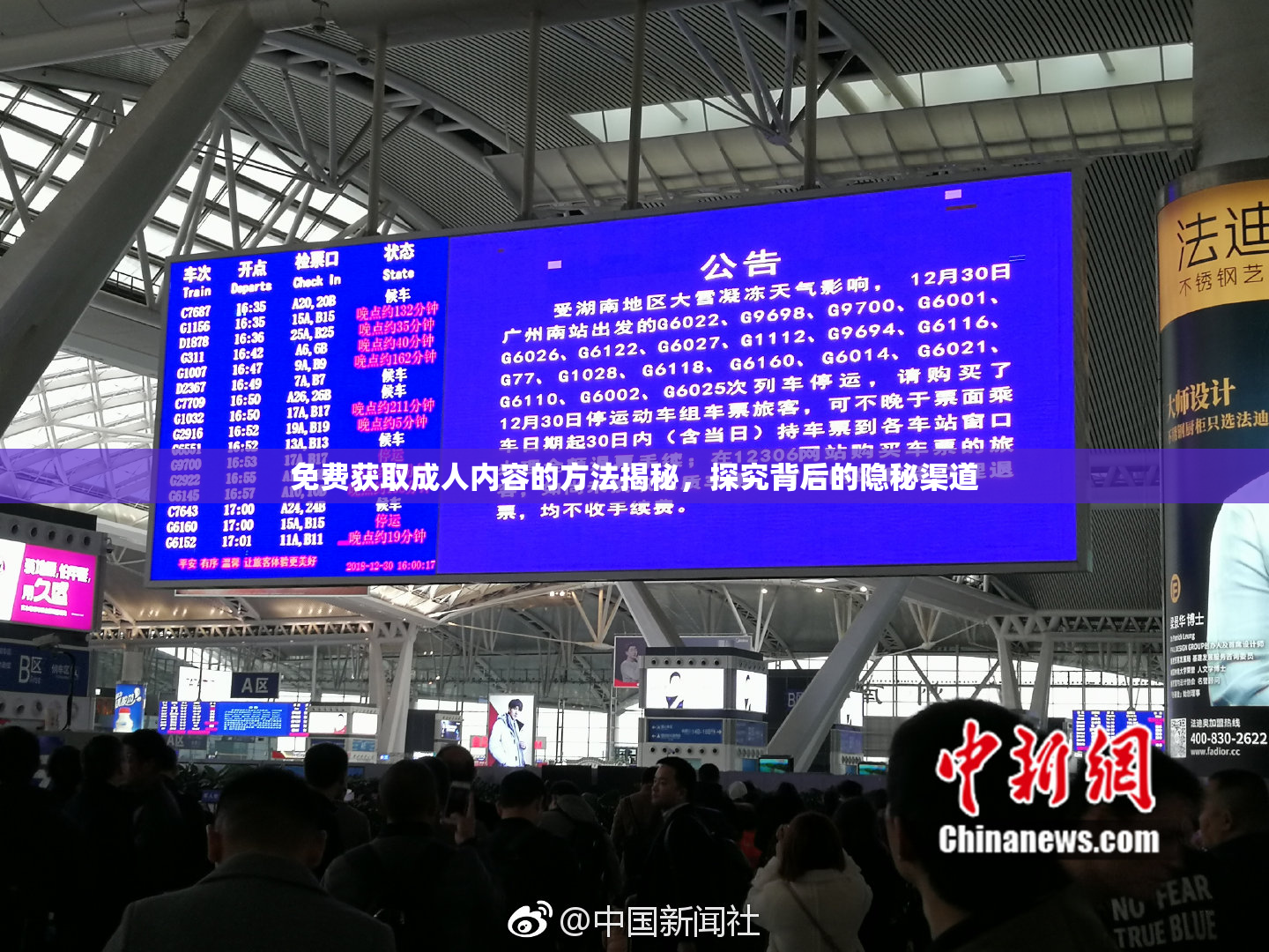 免费获取成人内容的方法揭秘，探究背后的隐秘渠道