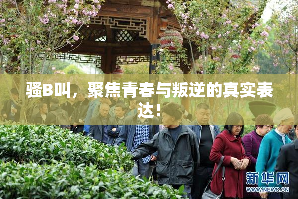 骚B叫，聚焦青春与叛逆的真实表达！