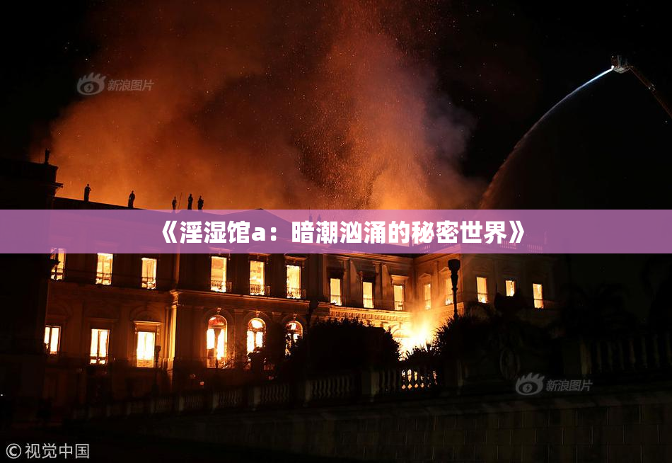 《淫湿馆a：暗潮汹涌的秘密世界》