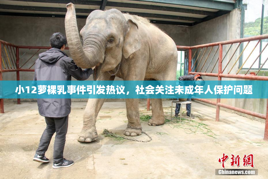 小12萝裸乳事件引发热议，社会关注未成年人保护问题