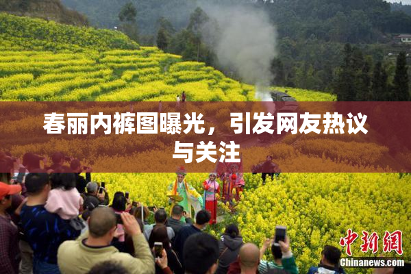 春丽内裤图曝光，引发网友热议与关注