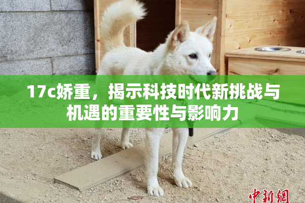 17c娇重，揭示科技时代新挑战与机遇的重要性与影响力