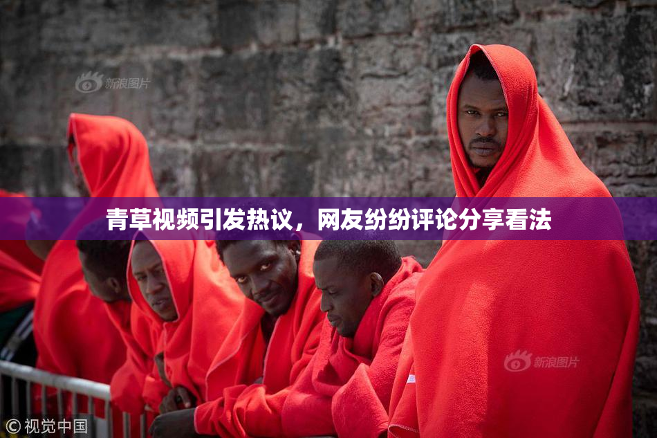 青草视频引发热议，网友纷纷评论分享看法
