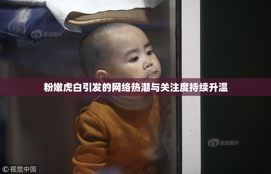 粉嫩虎白引发的网络热潮与关注度持续升温