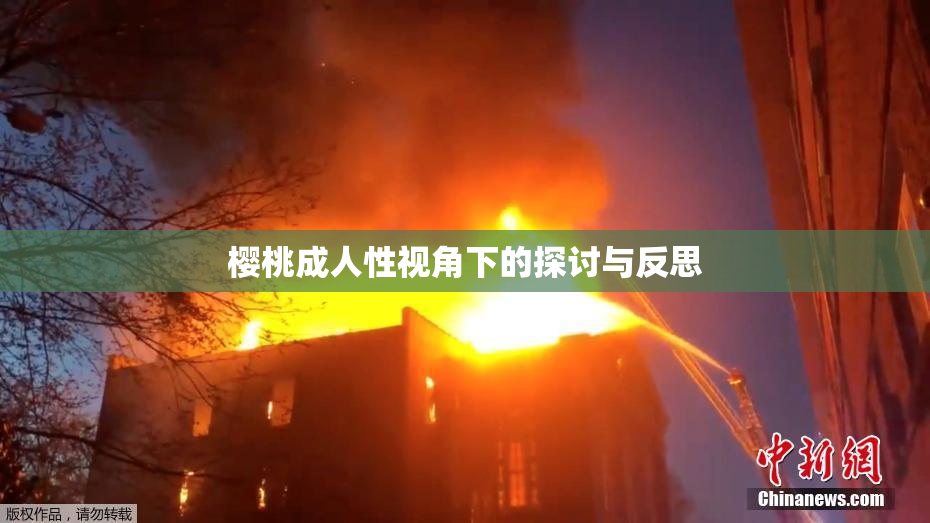 樱桃成人性视角下的探讨与反思