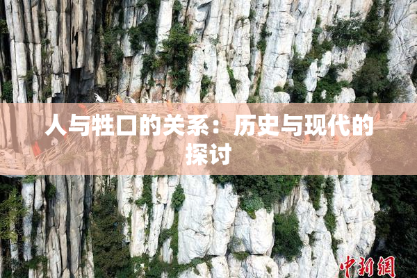 人与牲口的关系：历史与现代的探讨