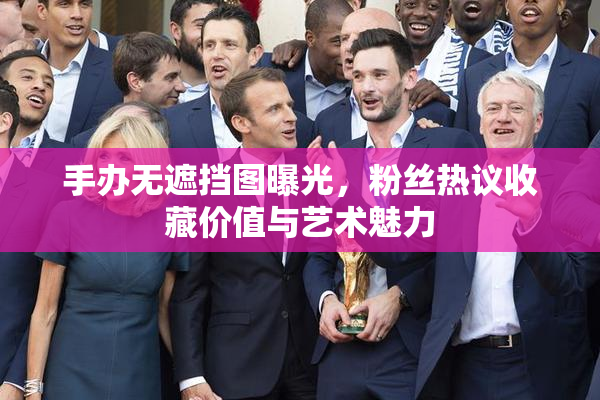 手办无遮挡图曝光，粉丝热议收藏价值与艺术魅力