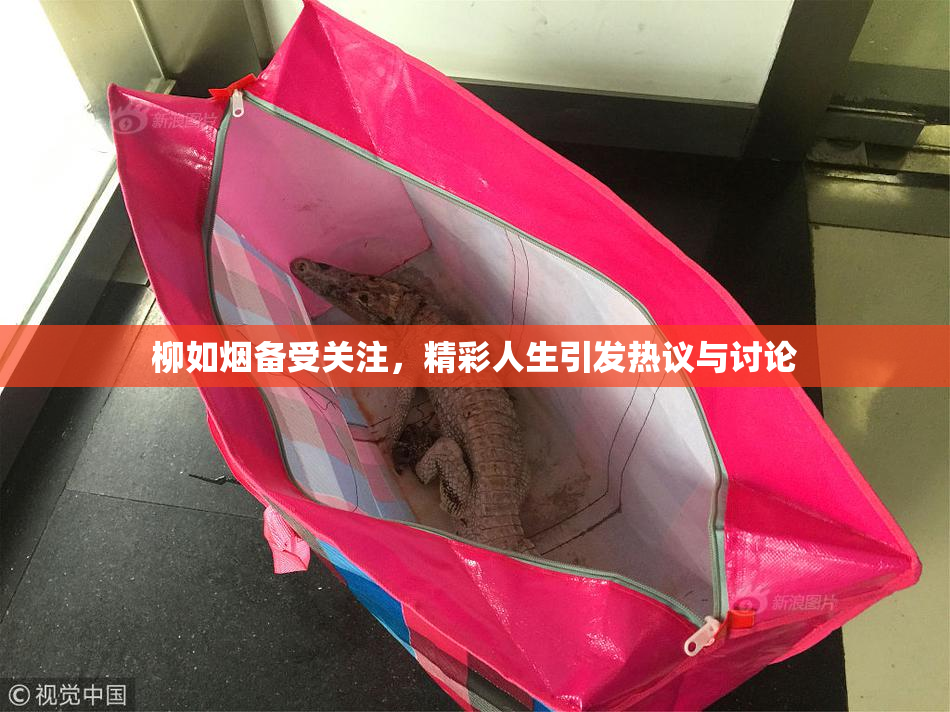 柳如烟备受关注，精彩人生引发热议与讨论