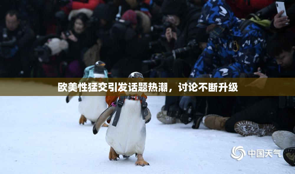 欧美性猛交引发话题热潮，讨论不断升级
