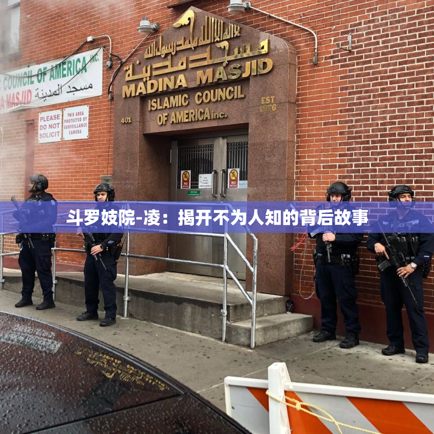 斗罗妓院-凌：揭开不为人知的背后故事