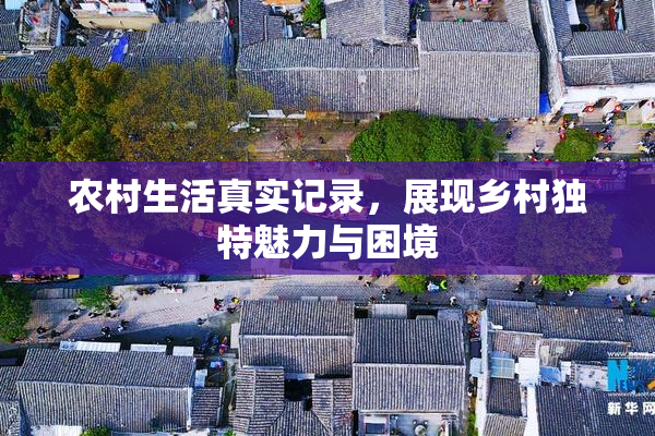 农村生活真实记录，展现乡村独特魅力与困境
