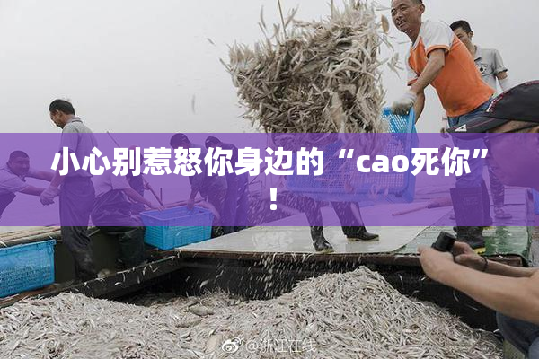 小心别惹怒你身边的“cao死你”！