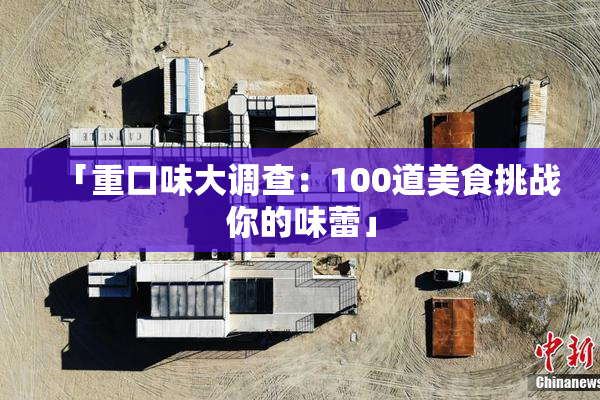 「重口味大调查：100道美食挑战你的味蕾」