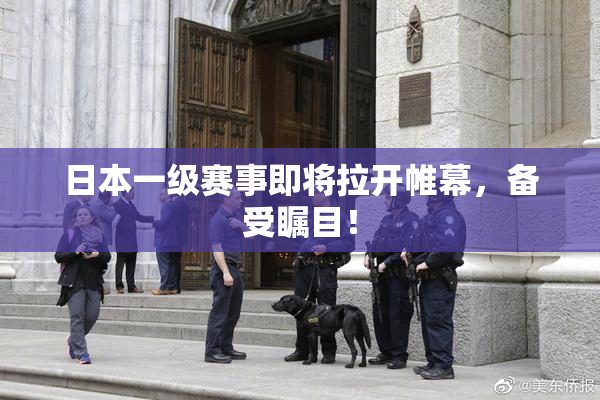 日本一级赛事即将拉开帷幕，备受瞩目！