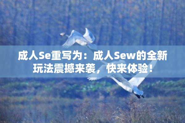 成人Se重写为：成人Sew的全新玩法震撼来袭，快来体验！