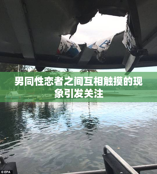 男同性恋者之间互相触摸的现象引发关注