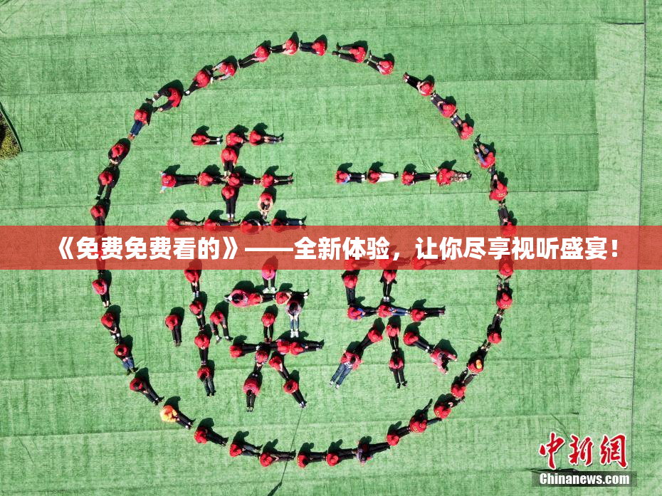 《免费免费看的》——全新体验，让你尽享视听盛宴！