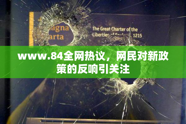 www.84全网热议，网民对新政策的反响引关注
