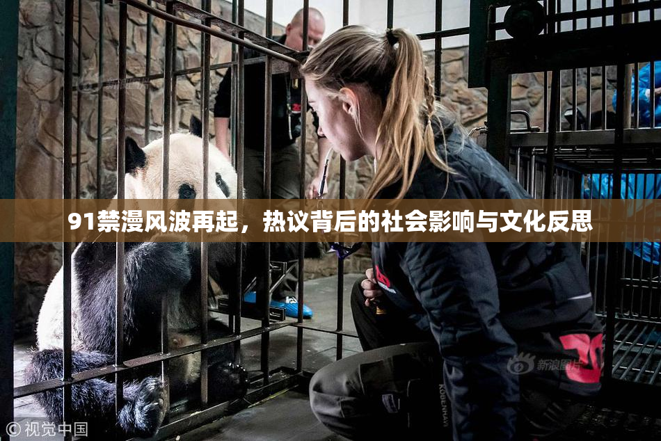 91禁漫风波再起，热议背后的社会影响与文化反思
