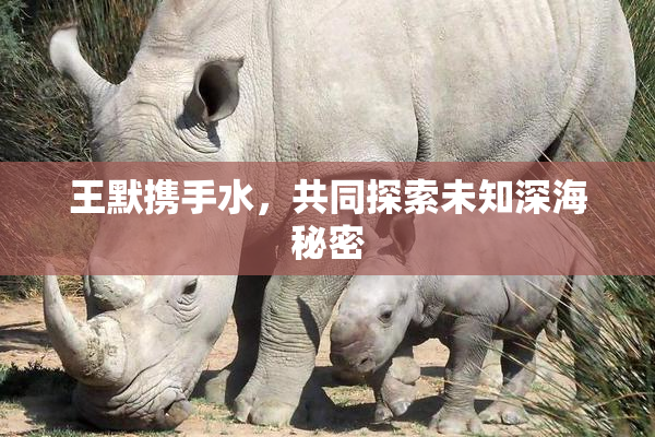 王默携手水，共同探索未知深海秘密