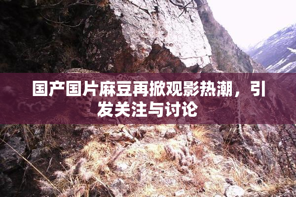国产国片麻豆再掀观影热潮，引发关注与讨论