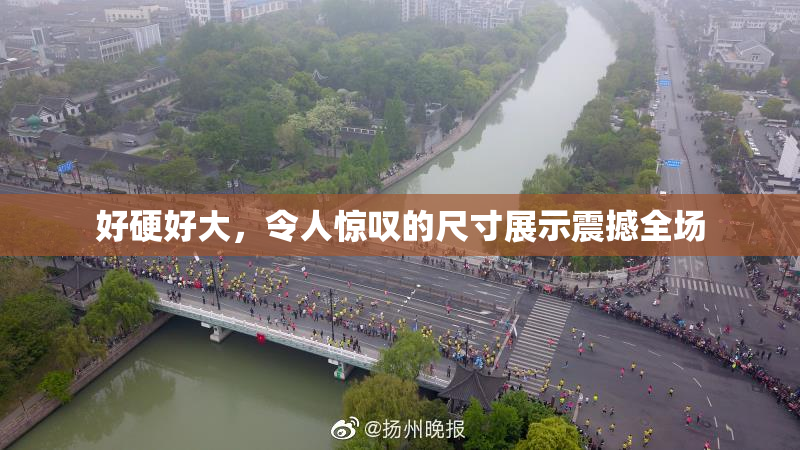 好硬好大，令人惊叹的尺寸展示震撼全场